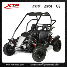 Chinese Taiwan Adult off Road Gas Pgo Buggy